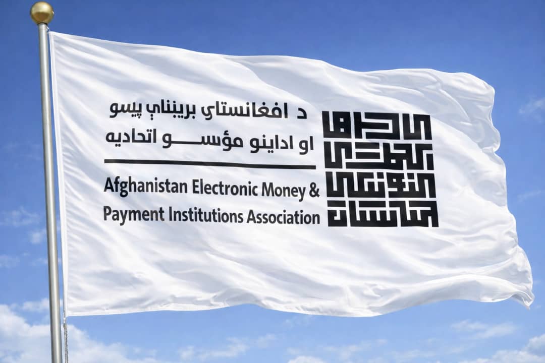 AEMPIA Conference 2024